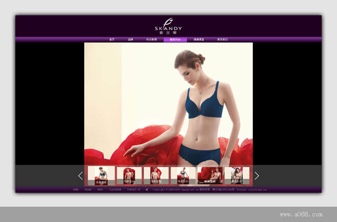 紫兰蒂内衣网站建设-产品